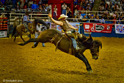 Saddle Bronc