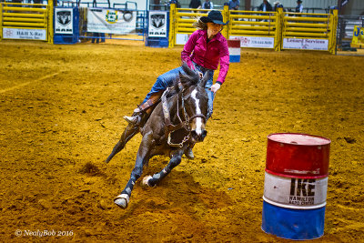 Barrel Racer 