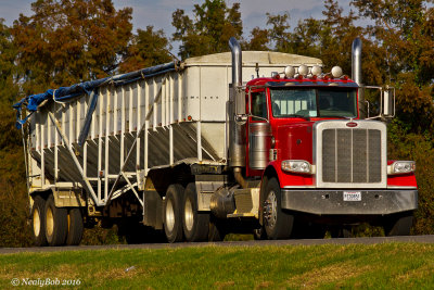 Peterbilt 