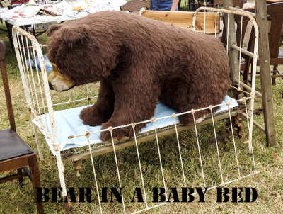 Bear in Baby Bed