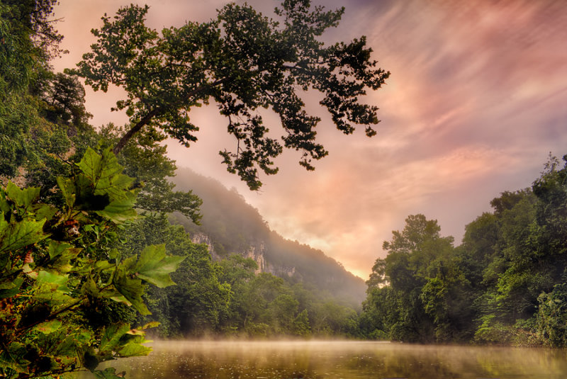 Morning Mist