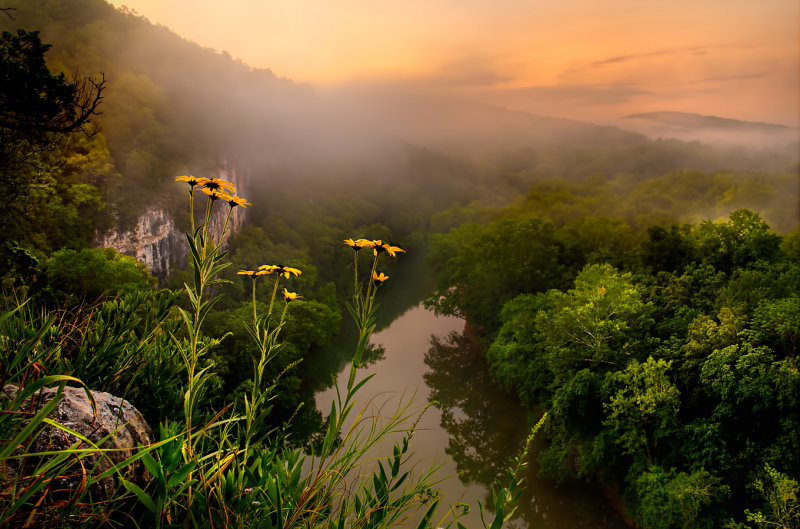 Clearing Mist