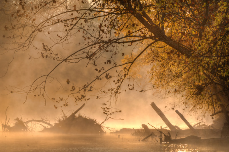 The Mists of November