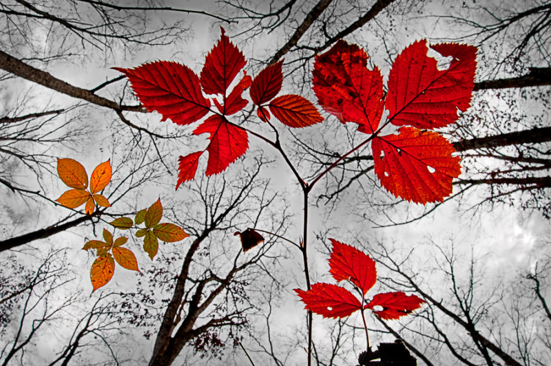 November