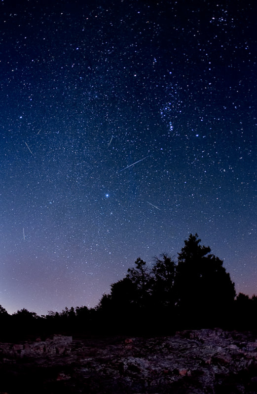 Orionids Meteor Shower