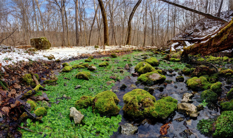 Copper Hollow Spring