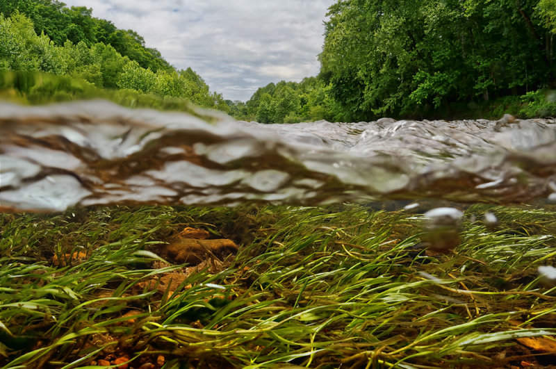 A river runs through it