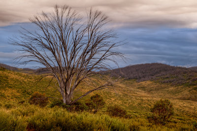 View from Gray Mare Hut