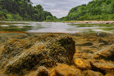 Meramec River in Missouri