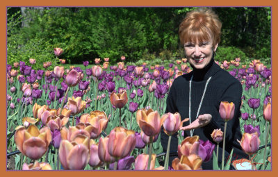 Ottawa tulip