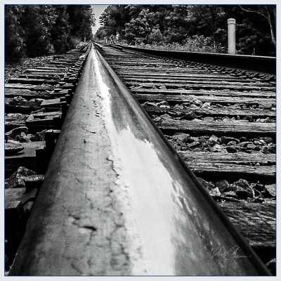 Railroad summer 2015