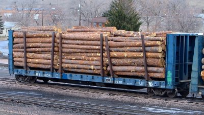 MRL 61041 - Missoula, MT (1/8/06)