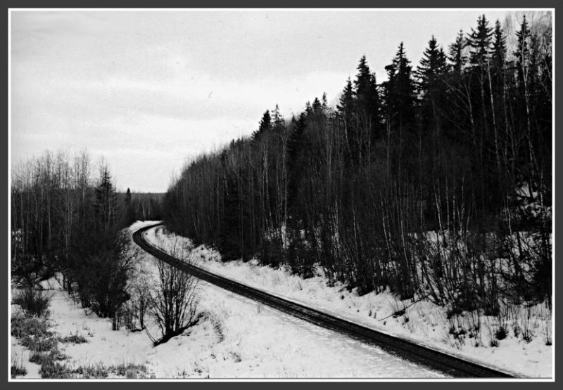 Tracks at Vanderhoof, BC.