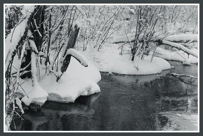 Telachick Creek, February