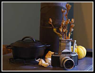 Exakta 500 in a Still Life