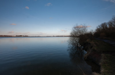 View across Chasewater.jpg