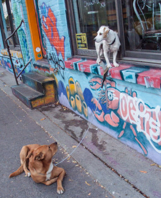 Montreal