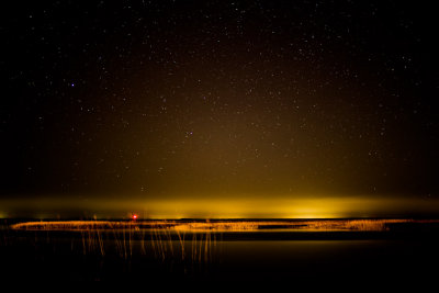 Salt marsh after dark