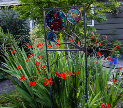 Yard-18.jpg