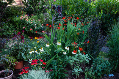 Yard-2.jpg