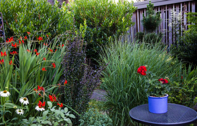 Yard-3.jpg