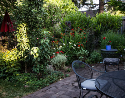 Yard-4.jpg