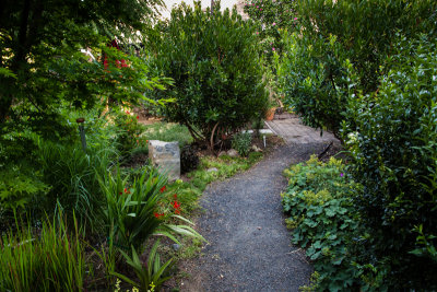 Yard-5.jpg