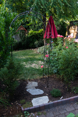 Yard-7.jpg