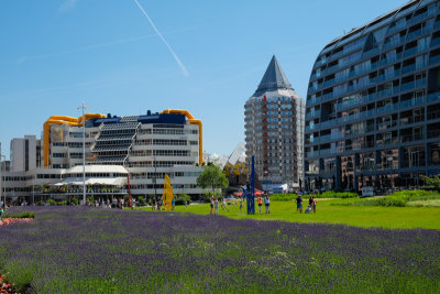 Rotterdam Library and Pencil Building