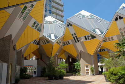 Cube House Forest