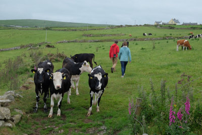 meeting friends along the way