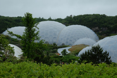 Botanical envronments from all over the world