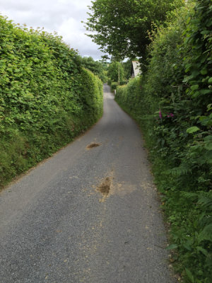 narrow streets