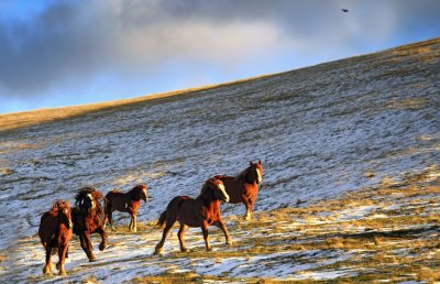 Campo Imperatore