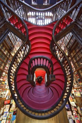 Livraria Lello & Irmo