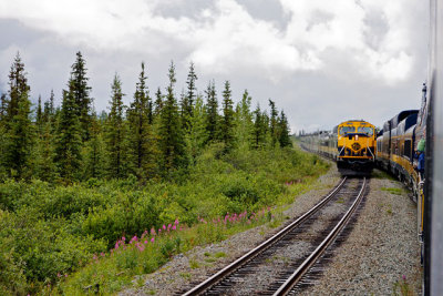 Alaska Railroad trains meet at Cantwell