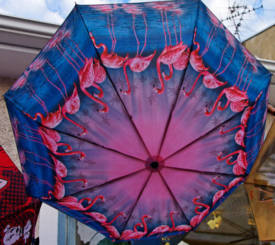 Colourful umbrella for sale