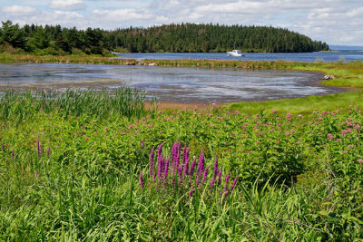 Bras d'Or Lakes, on the Fleur-de-Lis Trail
