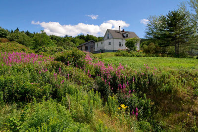 On the Fleur-de-Lis Trail