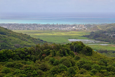 View of Kailua, on the Pali Hwy