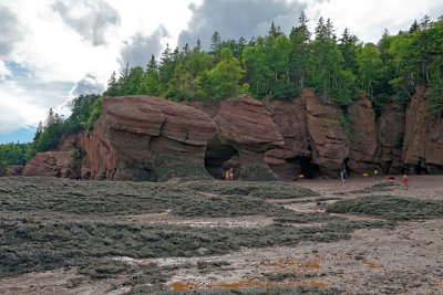 Hopewell Rocks