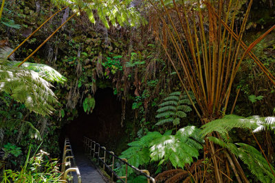 Entrance to Thurston Lava Tube