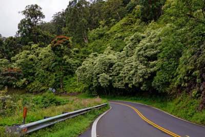 The road to Hana