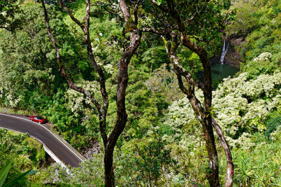 Lower Puohokamoa Falls