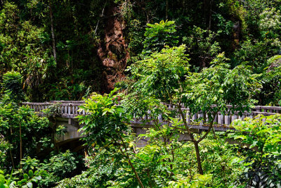 One of many bridges on the road to Hana