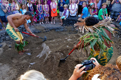 Uncovering the pig at a Luau in Lahaina
