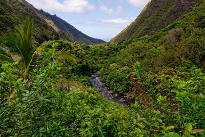 'Iao Valley