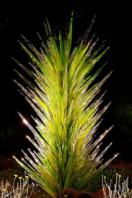 Dale Chihuly Glass Art at the Desert Botanical Garden