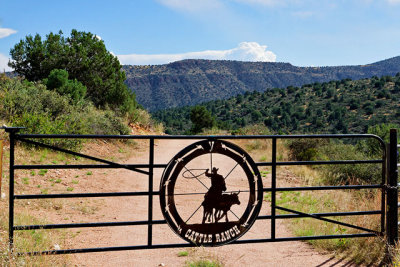 Cattle Ranch gate