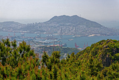 View from Hwangnyeongsan Mountain over Busan Port